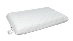 Подушка Coolness Sontery by Ascona 40х60х9S dd426de4-4919-11f1-0a80-0fc0001b3c7c