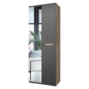 Шкаф распашной Наоми ШК-22 F24 2672